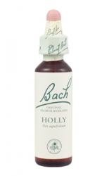 Nelsons Holly 20ml