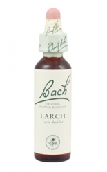 Nelsons Larch 20ml