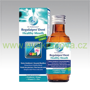 Dr. Niedermayer - Regulatpro Dent Healthy Mouth - 100 ml